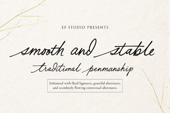 Smooth and Stable: A Typeface for Polished Branding