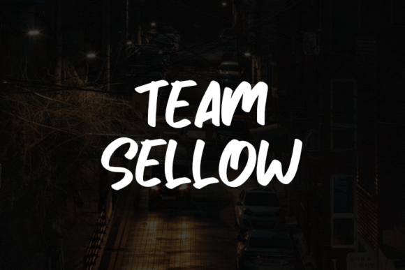 Team Sellow: A Modern Typeface for Campaigns